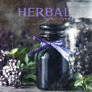 Herbal Spa Zone: Calm Music with Nature Sounds for Massage, Wellness & Relaxation - Meditation Spa Music Ensemble