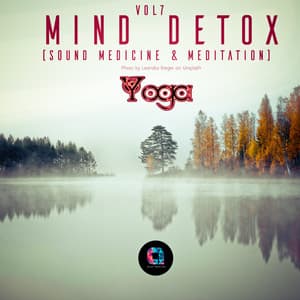 Mind Detox , Vol.7 - Mind Detox
