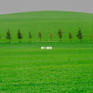 春の植物 - Saturday Morning Jazz Playlist