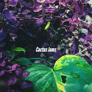 Cactus Jams - Dinner Jazz Playlist