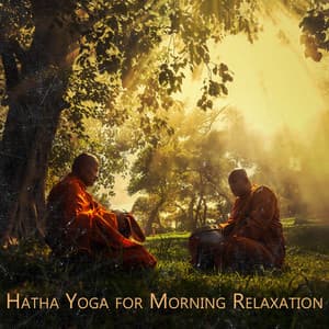 Hatha Yoga for Morning Relaxation: Calm Ambient Streams of Joy - Hatha Yoga Music Zone