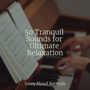 50 Tranquil Sounds for Ultimate Relaxation - Ivory Mood
