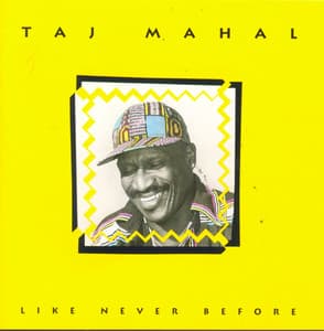 Like Never Before - Taj Mahal