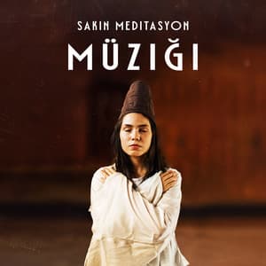 Sakin Meditasyon Müziği: Meditasyon Uygulaması için Doğa Sesleri - Rahatla Zamanı Vaha