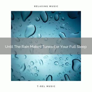 Until The Rain Makes Tunes For Your Full Sleep - White Noise Hour
