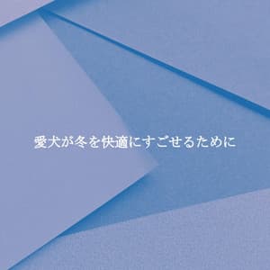 愛犬が冬を快適にすごせるために - Dinner Music Classics