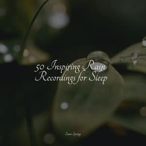 50 Inspiring Rain Recordings for Sleep - Tinnitus Aid