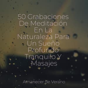 50 Grabaciones De Meditación En La Naturaleza Para Un Sueño Profundo Tranquilo Y Masajes - Musica para Meditar