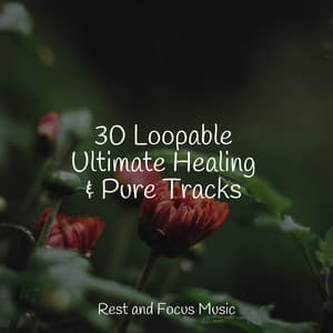 30 Loopable Ultimate Healing & Pure Tracks - Exam Study Classical Music Orchestra