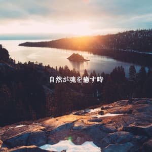 自然が魂を癒す時 - Dog Music Radio