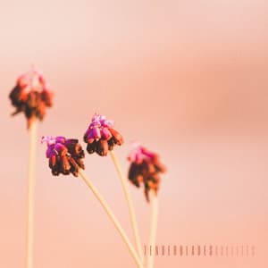 Tenderblades - Axelites