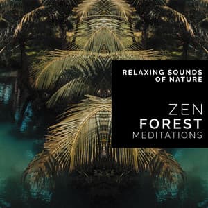 Zen Forest Meditations - Rainforest