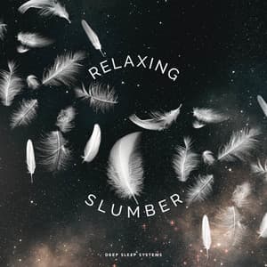 Relaxing Slumber - Deep Sleep Systems