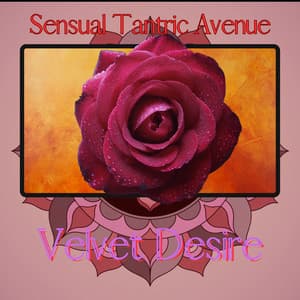 Velvet Desire - Sensual Tantric Avenue