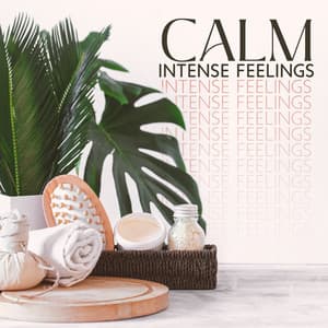 Calm Intense Feelings: Soothing Spa Music for Physical and Emotional Relaxation After a Long Day - Mindfulness Meditation Tranquility Spa Universe