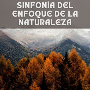Sinfonía del Enfoque de la Naturaleza - Sonidos naturales del bosque