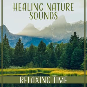 Healing Nature Sounds: Relaxing Time for Mindfulness Meditation, Serenity Music, Ocean Waves, Birds - Zen Natural Sounds
