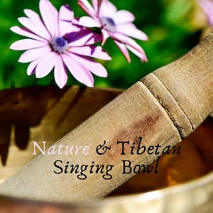 Nature & Tibetan Singing Bowl - Tibetan Eclipse