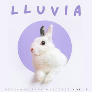 Lluvia: Música De Descanso Para Mascotas Vol. 1 - HD lluvia y agua