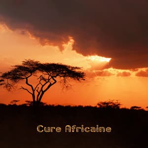 Cure Africaine: Tribu de tambours pour le nettoyage énergétique, la méditation, la relaxation - Dean Forest