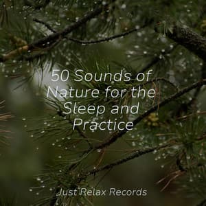 50 Sounds of Nature for the Sleep and Practice - Lounge Music Café