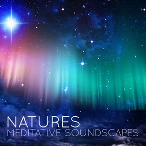 Nature's Meditative Soundscapes - Relaxing Sounds Of Nature