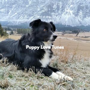 Puppy Love Tunes - Musica para Perros