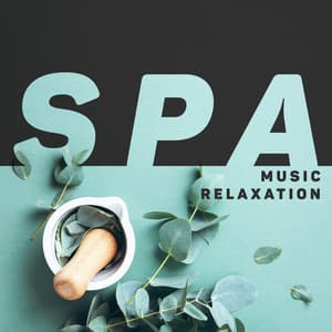 Spa Music Relaxation: Energizing Treatments, Calm Sounds, Soothing Atmosphere - Paradise Spa Music Academy