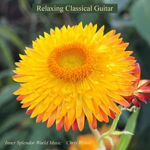 Relaxing Classical Guitar - Inner Splendor World Music