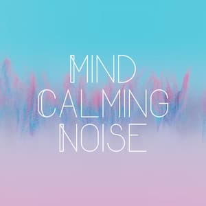 Mind Calming Noise - The White Noise Travelers