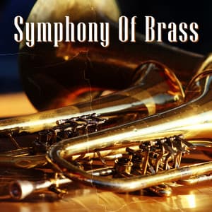Symphony Of Brass - Musician of The World