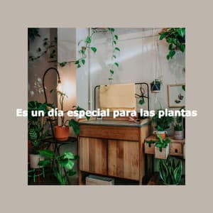 Es un día especial para las plantas - Lounge Jazz Bar Deluxe