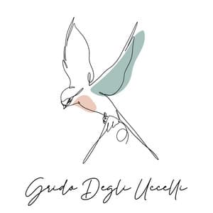 Grido Degli Uccelli: Suoni Rilassanti di Uccelli con Sfondo Naturale - Santuario dei suoni della natura