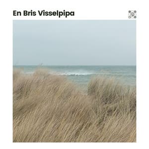En Bris Visselpipa - Naturljud