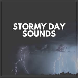Stormy Day Sounds - Stormy Station