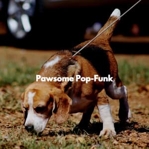 Pawsome Pop-Funk - Hotel Lobby Music Background Music