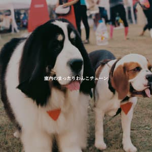 室内のまったりわんこチューン - Happy Jazz