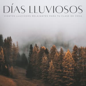 Días Lluviosos: Vientos Lluviosos Relajantes Para Tu Clase De Yoga - Lluvia Mozart