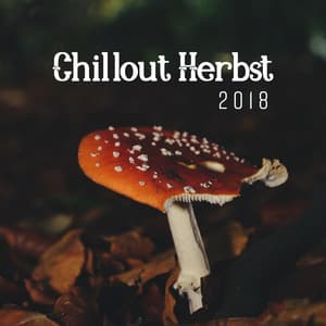 Chillout Herbst 2018: Musik für Herbstabende - Chilled Ibiza