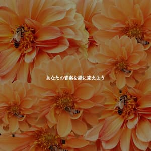 あなたの音楽を緑に変えよう - Classic Bosas Nova Radio