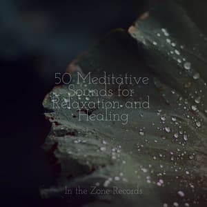 50 Meditative Sounds for Relaxation and Healing - Chinese Relaxation and Meditation