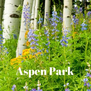 Aspen Park - Elton Ames