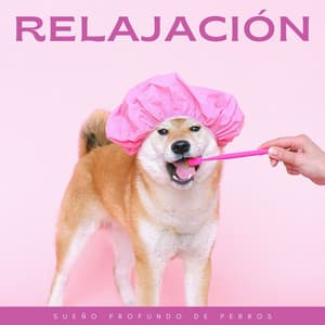 Relajación: Sueño Profundo De Perros - Música Ambiente