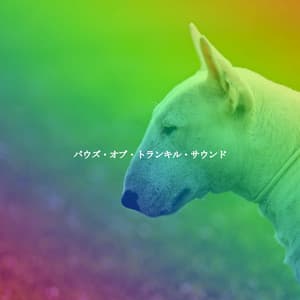 パウズ・オブ・トランキル・サウンド - Jazz para Dormir Orquesta