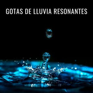 Gotas De Lluvia Resonantes - Fabricantes de lluvia suave