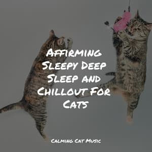 Affirming Sleepy Deep Sleep and Chillout For Cats - Relaxmycat