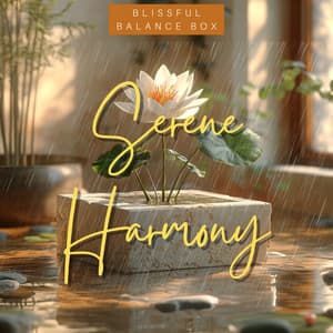 Serene Harmony - Blissful Balance Box