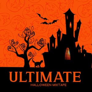 Halloween Medley - EDM, Synthwave, Electronic, Chill Music for Costume Party - Enlightened State