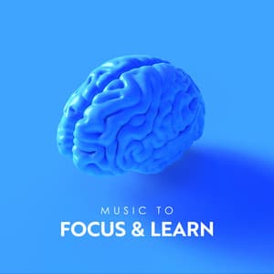 Music to Focus & Learn: Complete Focus & Study Motivation Music - Easy Study Music Chillout