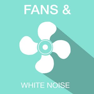 Fans & White Noise - Fans & White Noise